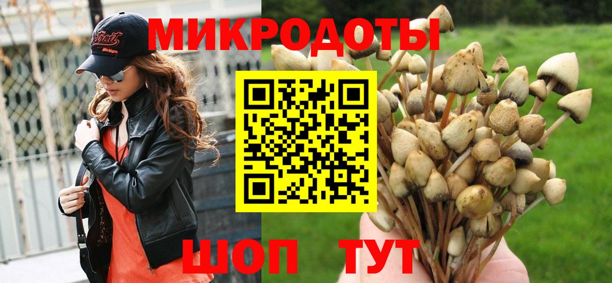 Псилоцибиновые грибы Psilocybe Прохладный