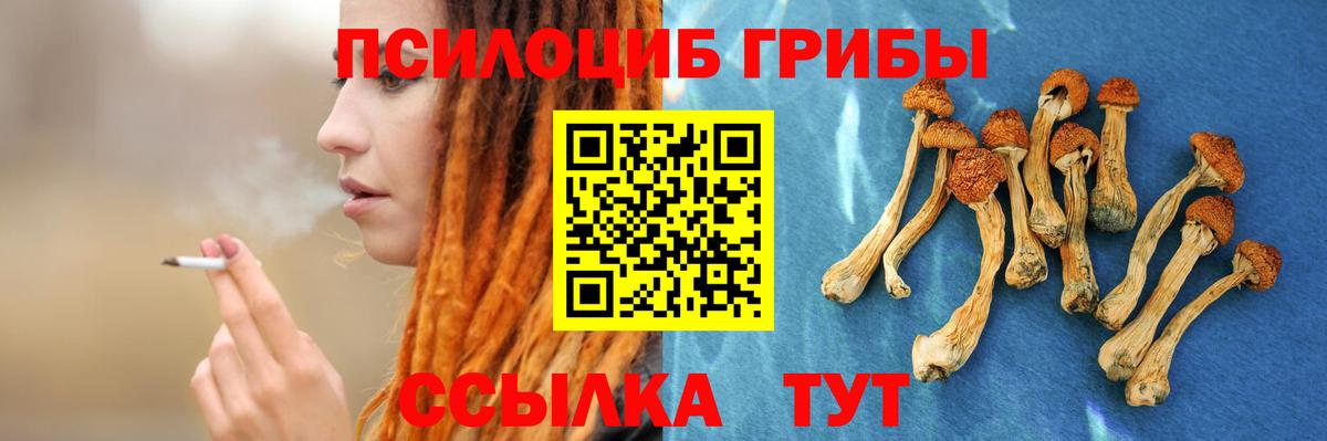 Псилоцибиновые грибы Cubensis  Галлюциногенные грибы прущие грибы  Прохладный  Вход с VPN 