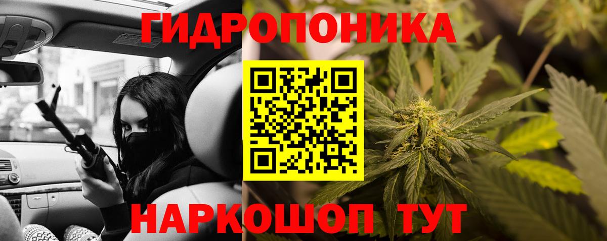 Шишки марихуана план Прохладный
